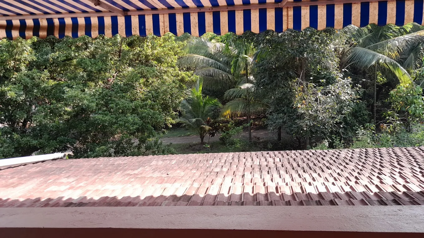 View of the Centre grounds and trees